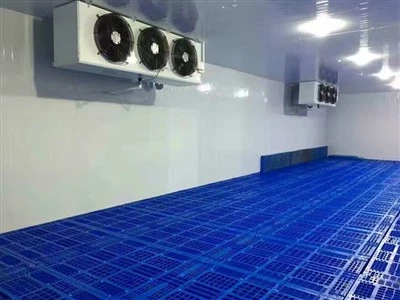 2025 10 fábrica líder de câmaras frigoríficas na China